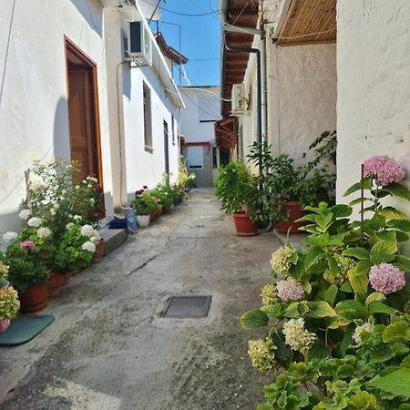 Herta Apartment Berat Exteriér fotografie