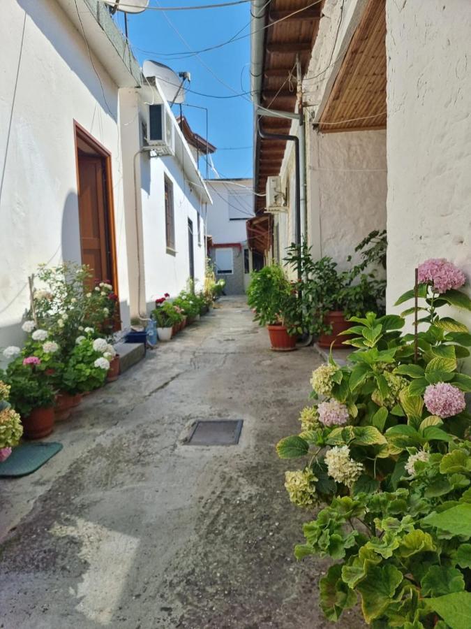 Herta Apartment Berat Exteriér fotografie