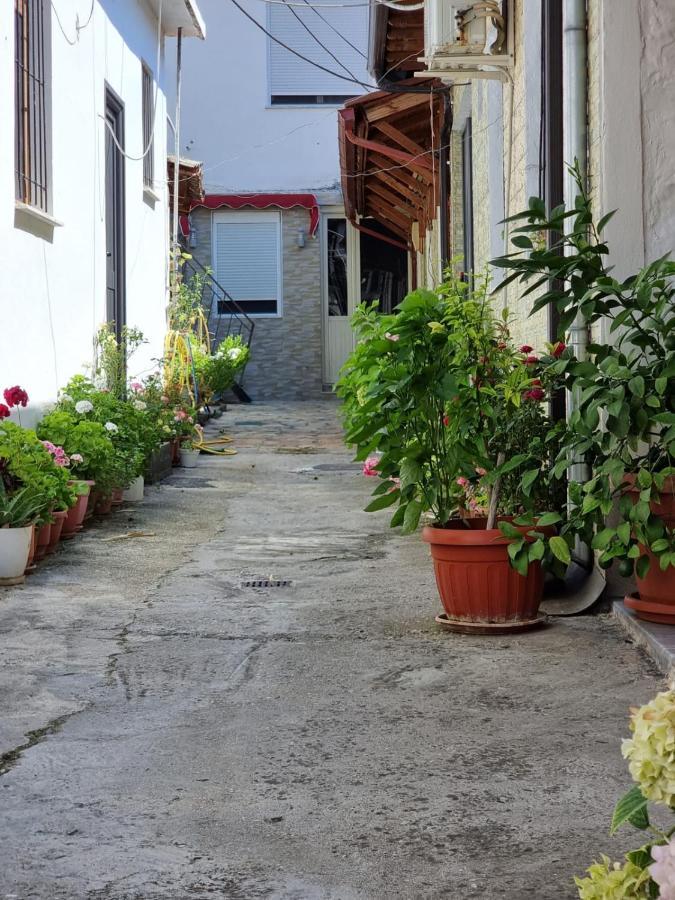 Herta Apartment Berat Exteriér fotografie