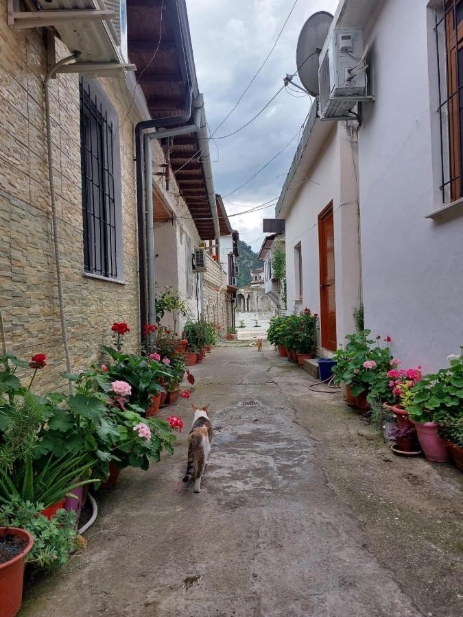 Herta Apartment Berat Exteriér fotografie